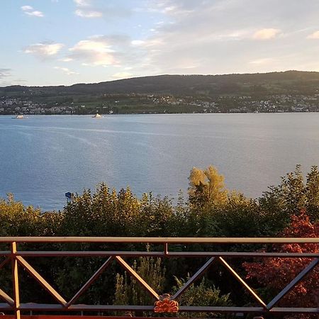 Nice Apartment In Horgen Near Lake And Pool מראה חיצוני תמונה