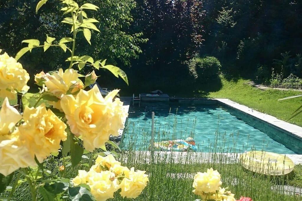 Nice Apartment In Horgen Near Lake And Pool מראה חיצוני תמונה