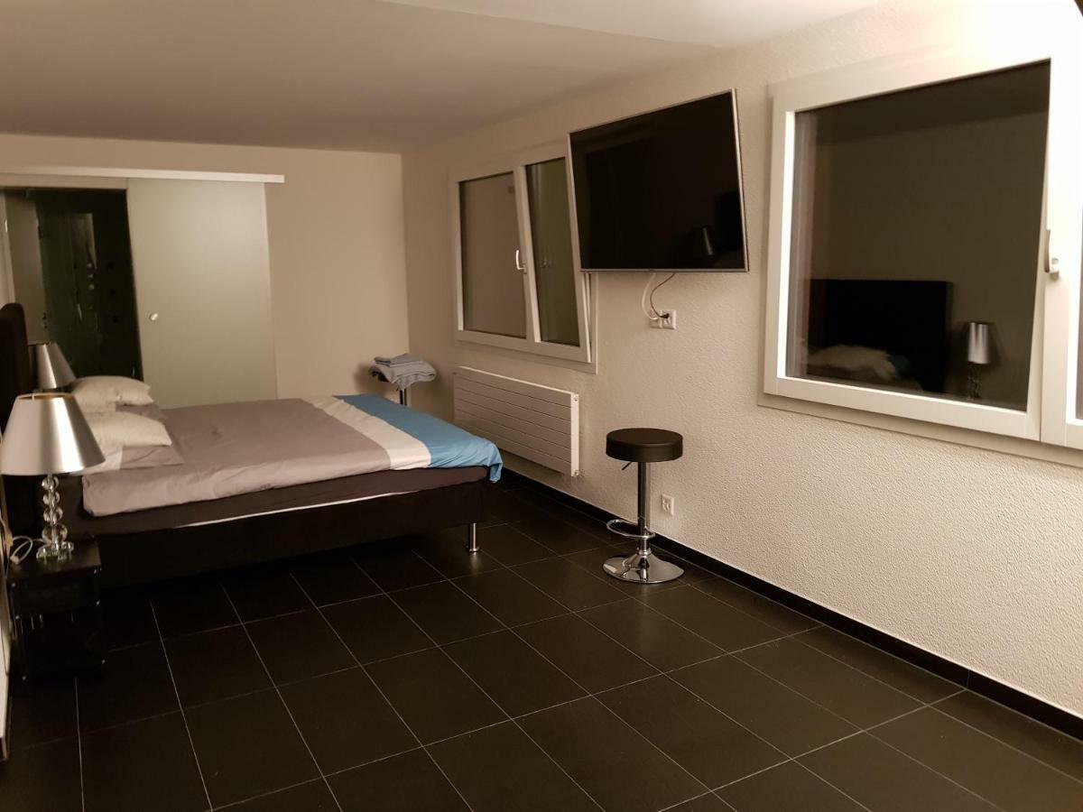 Nice Apartment In Horgen Near Lake And Pool חדר תמונה
