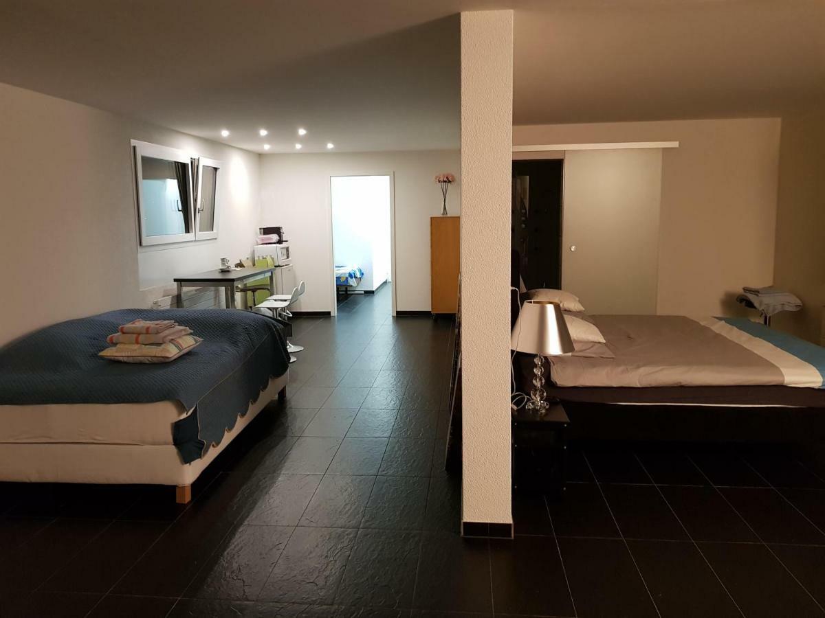 Nice Apartment In Horgen Near Lake And Pool מראה חיצוני תמונה