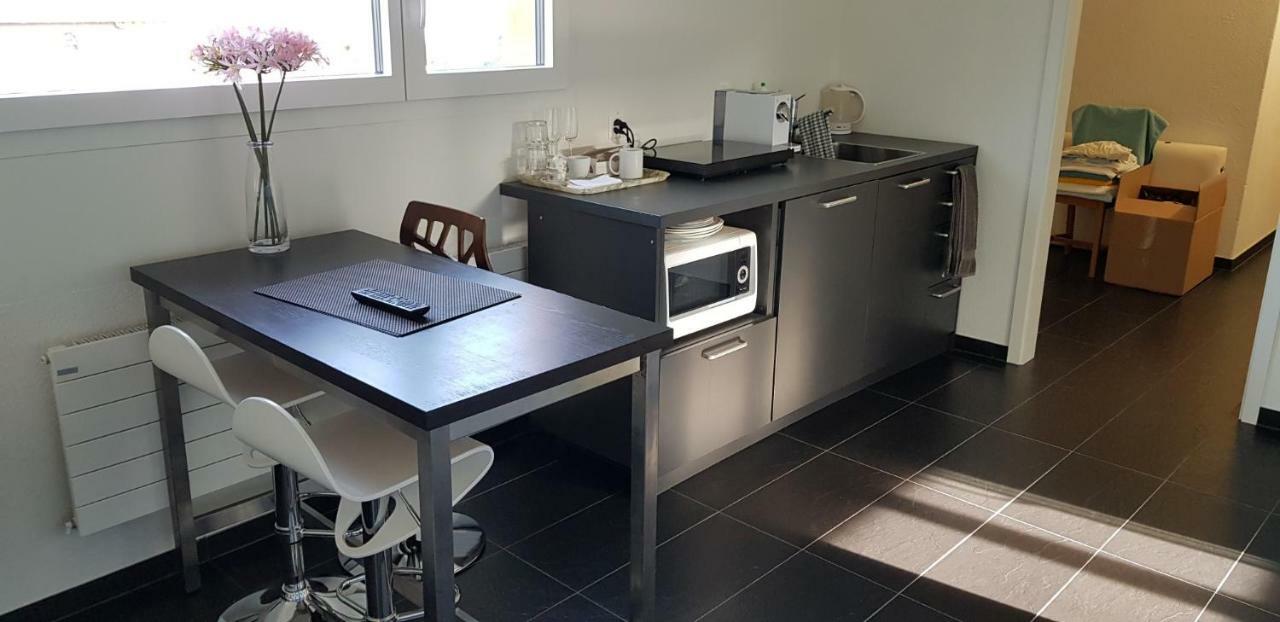 Nice Apartment In Horgen Near Lake And Pool מראה חיצוני תמונה