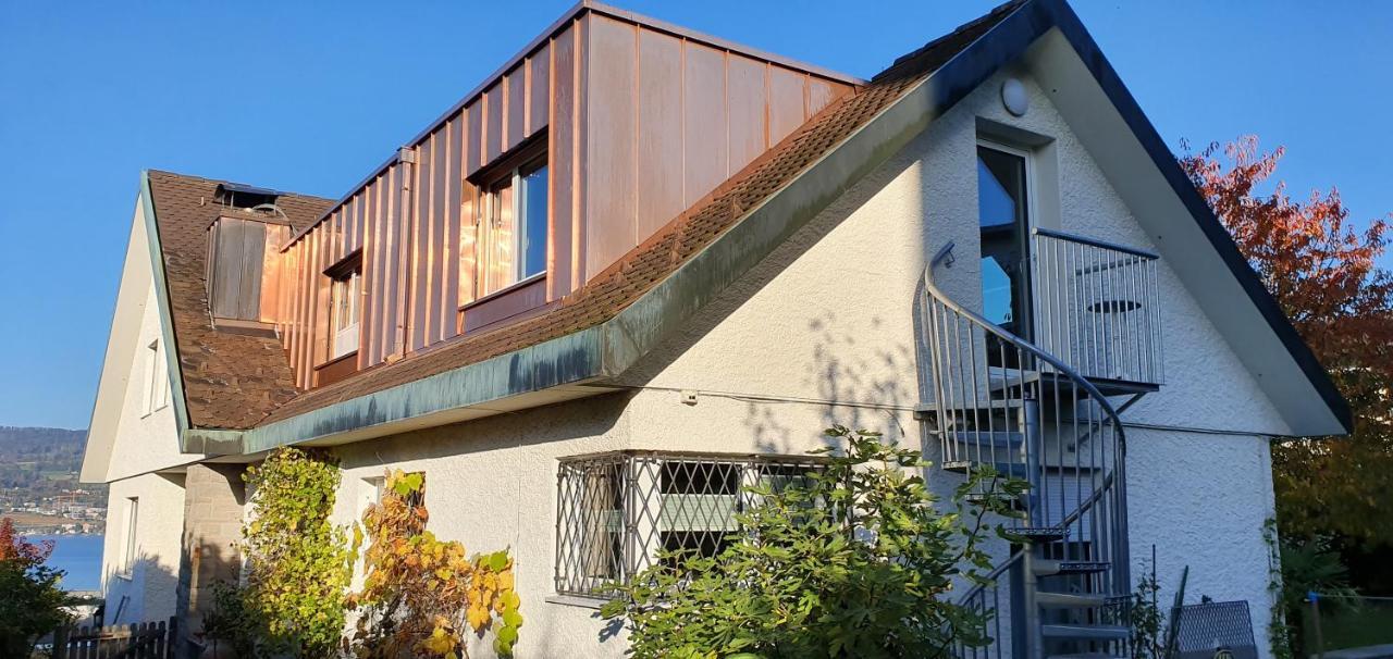 Nice Apartment In Horgen Near Lake And Pool מראה חיצוני תמונה